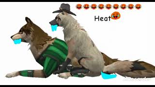 Wildcraft heat on bolt the wolf🥵🥵🥵 Part 2 [upl. by Blackburn]