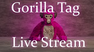 gorilla tag with viewers [upl. by Yve]