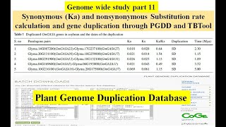 Genome wide study Part 11  synonym Ka Ks value calculation using PGDD and TBTool  gene duplication [upl. by Resee83]