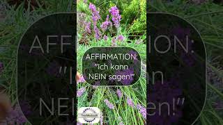 Affirmation Ich kann nein sagen [upl. by Okimat]