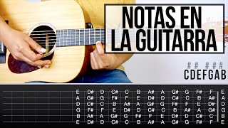 Notas en La Guitarra  Aprende Guitarra 11 [upl. by Nnodnarb976]