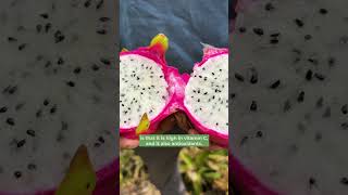 Selenicereus undatus  Also known as pitahaya Dragon Fruit is just as delicious as it is beautiful [upl. by Grantley]