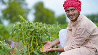 Organic Farming in India A Sustainable Agriculture [upl. by Joung31]