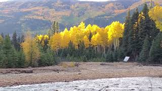 Alamosa Canyon in Jasper [upl. by Swetiana]