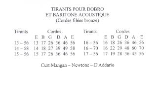 LES CORDES 814  Tirants pour dobro et guitare baritone [upl. by Julienne]