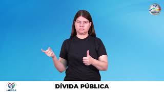 Dívida pública [upl. by Highams]