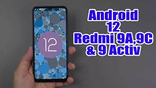 Install Android 12 on Redmi 9A9C amp 9 Activ AOSP Rom  How to Guide [upl. by Amlet192]