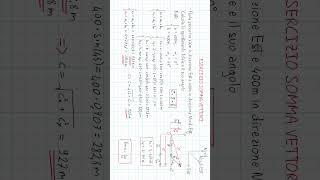 Scomposizione vettori e trigonometria  Parte i fisica matematica ProntoSoccorsoStudenti [upl. by O'Meara]