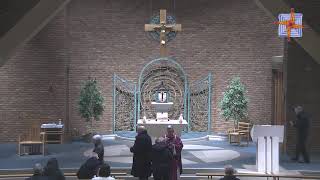 Mass from St Brigids Parish Belfast [upl. by Nede716]