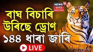 LIVE  Tiger Terror  144 Imposed in Nagaon  বাঘৰ মুক্ত বিচৰণক লৈ নগাঁৱত জাৰি ১৪৪ ধাৰা  Assam [upl. by Valsimot]