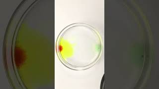 Complex reaction Science experiment Complex reaction of potassium ferrocyanide Science experimen [upl. by Ativel]