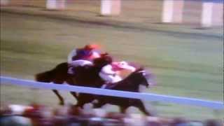 Lester Piggott on Moorestyle replay [upl. by Juakn]