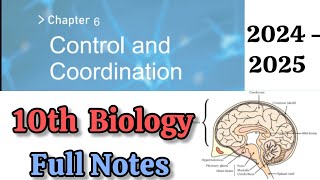 10th 💯BIOLOGY quotControl and Coordinationquot Full Chapter Notes  10th BIOLOGY Unit6 quot Clarity Notes [upl. by Rosaline247]