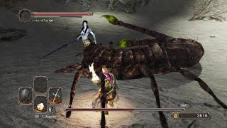 Dark Souls 2  No Bonfire amp No Death Run  Easy Guide UPDATED  Part 37 [upl. by Gabriellia]