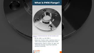 What is the PN16 Flange [upl. by Eniretak849]