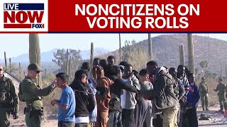 Noncitizens on election voting rolls Republicans demand answers on election integrity [upl. by Kcirdde]