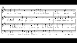 Schütz Deus misereatur nostri  Magnificat [upl. by Ecertal]