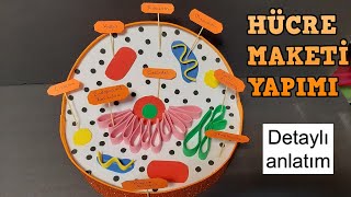 HÜCRE MAKETİ YAPIMI detaylı anlatım  CELL MODEL [upl. by Neellek845]