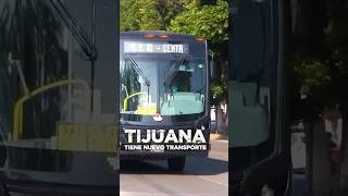 ¿Qué está pasando en Tijuana [upl. by Rezal]