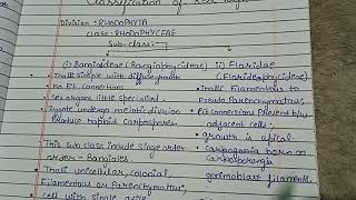 Classification of Rhodophyta  classification of Red algae Red Algae [upl. by Launam]