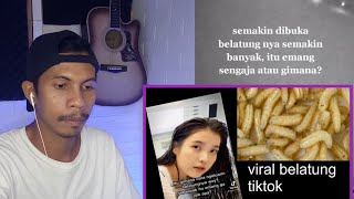 Belatung Viral Tiktok [upl. by Negem]