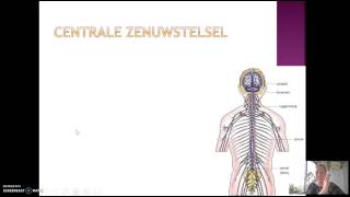 66 Het zenuwstelsel [upl. by Fonda]