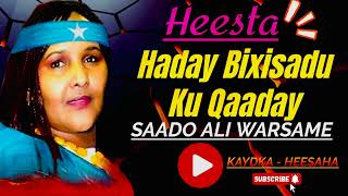 Saado Cali  Haday Bixisadu Ku Qaaday  Hees Cusub  Hees Macaan  Heeso hore xul ah [upl. by Stubbs906]