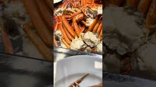 Finding the Best Snow Crabs Few Choices Be Patient choices best shorts [upl. by Clem]