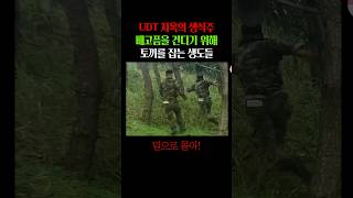 새벽부터 토끼 잡는 UDT 생도들 [upl. by Art]