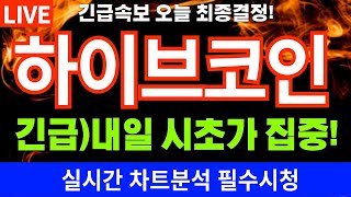 하이브 코인전망 🚨긴급 내일 시초가 집중 오늘 밤중요 하이브코인 하이브 HIVE coin 하이브리드차 [upl. by Nowad816]