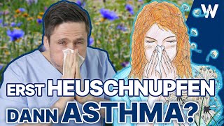 Heuschnupfen amp Pollenallergie Geht es wieder los Meine Tipps die helfen können  Asthma Eskalation [upl. by Nylassej]