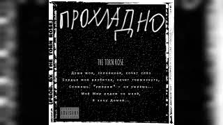 The torn rose  Прохладно prod by The torn rose [upl. by Yurt]