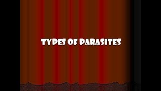 Different Types of Parasites [upl. by Janik524]