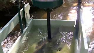 Vertical turbine hydro generator system Low rpm permanent magnet generator home made [upl. by Ahsenod]