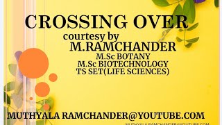 CROSSING OVER WITH CYTOLOGICAL EVIDENCE [upl. by Ayk]