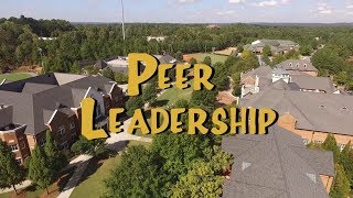 Peer Leadership 2017 [upl. by Sorkin]