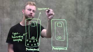 Parts of a Photosystem [upl. by Adnaw962]