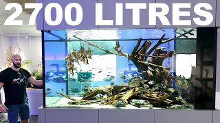 2700 litre  700 gal Aquarium AMAZING Hardscape Concept w STUNNING FISH [upl. by Aicatsal314]