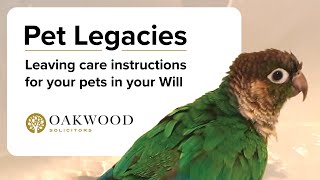 Including a Pet Legacy in your Will [upl. by Erastes]