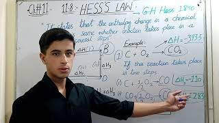 Hesss Law Class 11 Chemistry and reaction enthalpy change Ch11 Thermochemistry Lec1 [upl. by Leunamesoj]