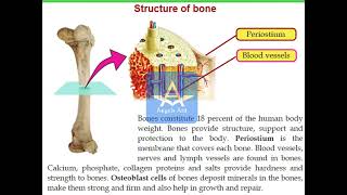 Class 9 Kerala Syllabus Biology new text Chapter 4 Part 12 [upl. by Supple]