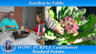 CAULIFLOWER MASHED POTATOES  PURPLE lowcarb mashed cauliflower [upl. by Eenyaj300]