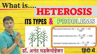 What is heterosis its types and Problem  Heterosis in Plant Breeding [upl. by Dorothi]