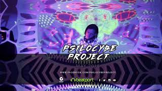 Psilocybe Project May 2018 [upl. by Eilhsa]