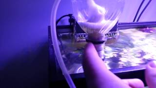 DIY Protein skimmer [upl. by Ahselyt693]