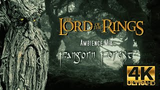 The Fangorn Forest  LORD OF THE RINGS  Ambience [upl. by Eittap545]