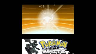 Litwick Evolves into Lampent Pokémon Black pokemonblack [upl. by Faubion]