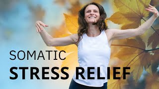 Somatic Exercises for Stress Relief  SOMATIC WORKOUT FOR STRESS [upl. by Annaear]