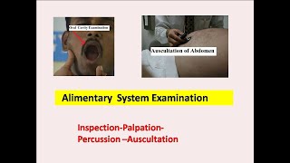 Alimentary System Examination l  Ayurveda Academy l Fluid Thrill [upl. by Zetes]