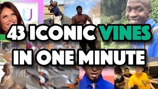 43 Iconic Vines in One Minute THE VINE SONG [upl. by Lion]